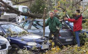 Foto: Dž.K./Radiosarajevo / Jak vjetar donio probleme građanima